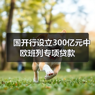 国开行设立300亿元中欧班列专项贷款(图1) 国开行设立300亿元中欧班列专项贷款(图1)
