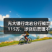 光大银行龙岩分行被罚115万，涉贷后管理不到位等（图2）