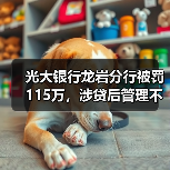 光大银行龙岩分行被罚115万，涉贷后管理不到位等（图4）