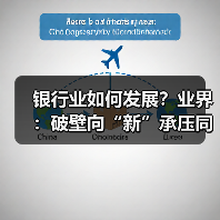 银行业如何发展?业界:破壁向“新”承压同时显韧性(图4) 银行业如何发展?业界:破壁向“新”承压同时显韧性(图4)