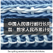 中国人民银行副行长陆磊：数字人民币累计处理交易34.8亿笔 交易金额16.7万亿元（图4）
