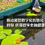 推动监管数字化智能化转型 保障数字金融健康发展(图2) 推动监管数字化智能化转型 保障数字金融健康发展(图2)