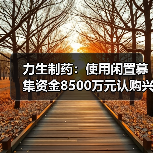 力生制药：使用闲置募集资金8500万元认购兴业银行结构性存款（图4）