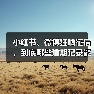 小红书、微博狂晒征信,到底哪些逾期记录能被“一键隐藏”?(图1) 小红书、微博狂晒征信,到底哪些逾期记录能被“一键隐藏”?(图1)