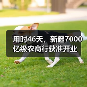 用时46天,新疆7000亿级农商行获准开业(图4) 用时46天,新疆7000亿级农商行获准开业(图4)