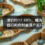 溢价约17.59%,威海银行拟向财鑫资产发行不超约3.28亿股内资股(图4) 溢价约17.59%,威海银行拟向财鑫资产发行不超约3.28亿股内资股(图4)