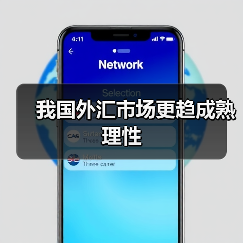 我国外汇市场更趋成熟理性（图2）