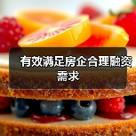 有效满足房企合理融资需求（图1）