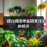 银行间债市加码支持实体经济（图2）