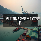 外汇市场处变不惊显韧性（图2）