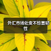 外汇市场处变不惊显韧性（图4）