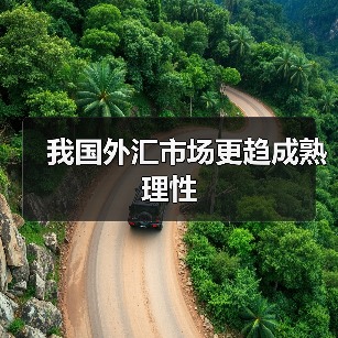 我国外汇市场更趋成熟理性（图4）