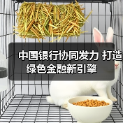 中国银行协同发力 打造绿色金融新引擎（图4）