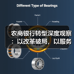 农商银行转型深度观察：以改革破局，以服务立根（图2）