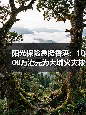 阳光保险急援香港:1000万港元为大埔火灾救援注入力量(图3) 阳光保险急援香港:1000万港元为大埔火灾救援注入力量(图3)