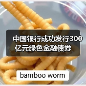 中国银行成功发行300亿元绿色金融债券（图4）
