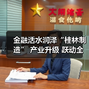 金融活水润泽“桂林制造” 产业升级 跃动全新脉搏（图4）