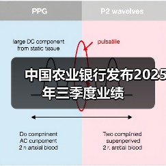 中国农业银行发布2025年三季度业绩（图4）