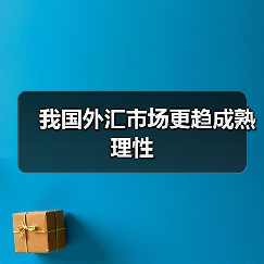 我国外汇市场更趋成熟理性（图3）
