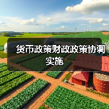 货币政策财政政策协调实施（图4）