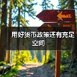 用好货币政策还有充足空间(图3) 用好货币政策还有充足空间(图3)