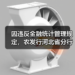 因违反金融统计管理规定，农发行河北省分行被罚146万元（图2）