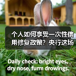 个人如何享受一次性信用修复政策?央行这场发布会全都告诉你(图2) 个人如何享受一次性信用修复政策?央行这场发布会全都告诉你(图2)