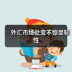 外汇市场处变不惊显韧性（图1）