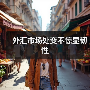 外汇市场处变不惊显韧性（图3）