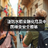 谨防水稻金融化危及中国粮食安全根基（图4）