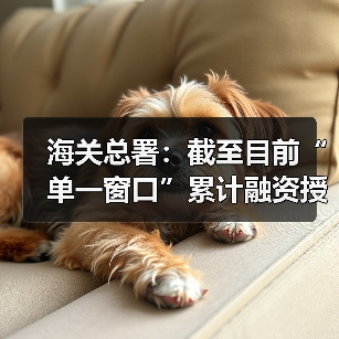 海关总署:截至目前“单一窗口”累计融资授信1488亿元(图3) 海关总署:截至目前“单一窗口”累计融资授信1488亿元(图3)
