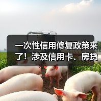 一次性信用修复政策来了!涉及信用卡、房贷、消费贷,还款后“免申即享”(图3) 一次性信用修复政策来了!涉及信用卡、房贷、消费贷,还款后“免申即享”(图3)