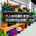 个人如何顺利享受一次性信用修复政策?北京银行行长戴炜支了三招(图3) 个人如何顺利享受一次性信用修复政策?北京银行行长戴炜支了三招(图3)