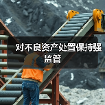 对不良资产处置保持强监管(图4) 对不良资产处置保持强监管(图4)