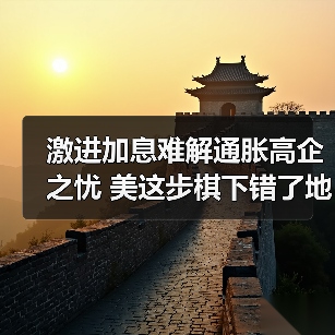 激进加息难解通胀高企之忧 美这步棋下错了地方（图4）