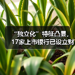“独立化”特征凸显,17家上市银行已设立财富管理部,助力满足居民超300万亿可投资需求(图4) “独立化”特征凸显,17家上市银行已设立财富管理部,助力满足居民超300万亿可投资需求(图4)