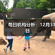 每日机构分析:12月31日(图3) 每日机构分析:12月31日(图3)