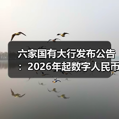 六家国有大行发布公告:2026年起数字人民币实名钱包余额按活期存款挂牌利率计息(图3) 六家国有大行发布公告:2026年起数字人民币实名钱包余额按活期存款挂牌利率计息(图3)