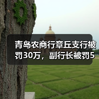 青岛农商行章丘支行被罚30万,副行长被罚5万(图2) 青岛农商行章丘支行被罚30万,副行长被罚5万(图2)