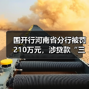 国开行河南省分行被罚210万元,涉贷款“三查”不审慎等(图4) 国开行河南省分行被罚210万元,涉贷款“三查”不审慎等(图4)