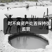 对不良资产处置保持强监管(图1) 对不良资产处置保持强监管(图1)