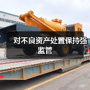 对不良资产处置保持强监管(图2) 对不良资产处置保持强监管(图2)