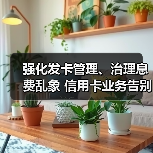 强化发卡管理、治理息费乱象 信用卡业务告别“跑马圈地”(图4) 强化发卡管理、治理息费乱象 信用卡业务告别“跑马圈地”(图4)