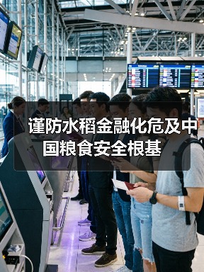 谨防水稻金融化危及中国粮食安全根基(图3) 谨防水稻金融化危及中国粮食安全根基(图3)