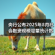 央行公布2025年8月社会融资规模增量统计数据报告(图3) 央行公布2025年8月社会融资规模增量统计数据报告(图3)
