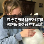 银行间市场新增24家机构获得债务融资工具承销商资格（图2）