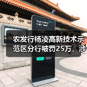 农发行杨凌高新技术示范区分行被罚25万，涉固定资产贷款管理不到位（图4）