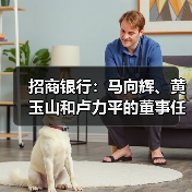 招商银行：马向辉、黄玉山和卢力平的董事任职资格均获核准（图3）