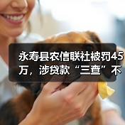 永寿县农信联社被罚45万，涉贷款“三查”不到位（图3）