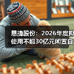 恩捷股份：2026年度拟使用不超30亿元闲置自有资金购买银行理财产品（图3）
